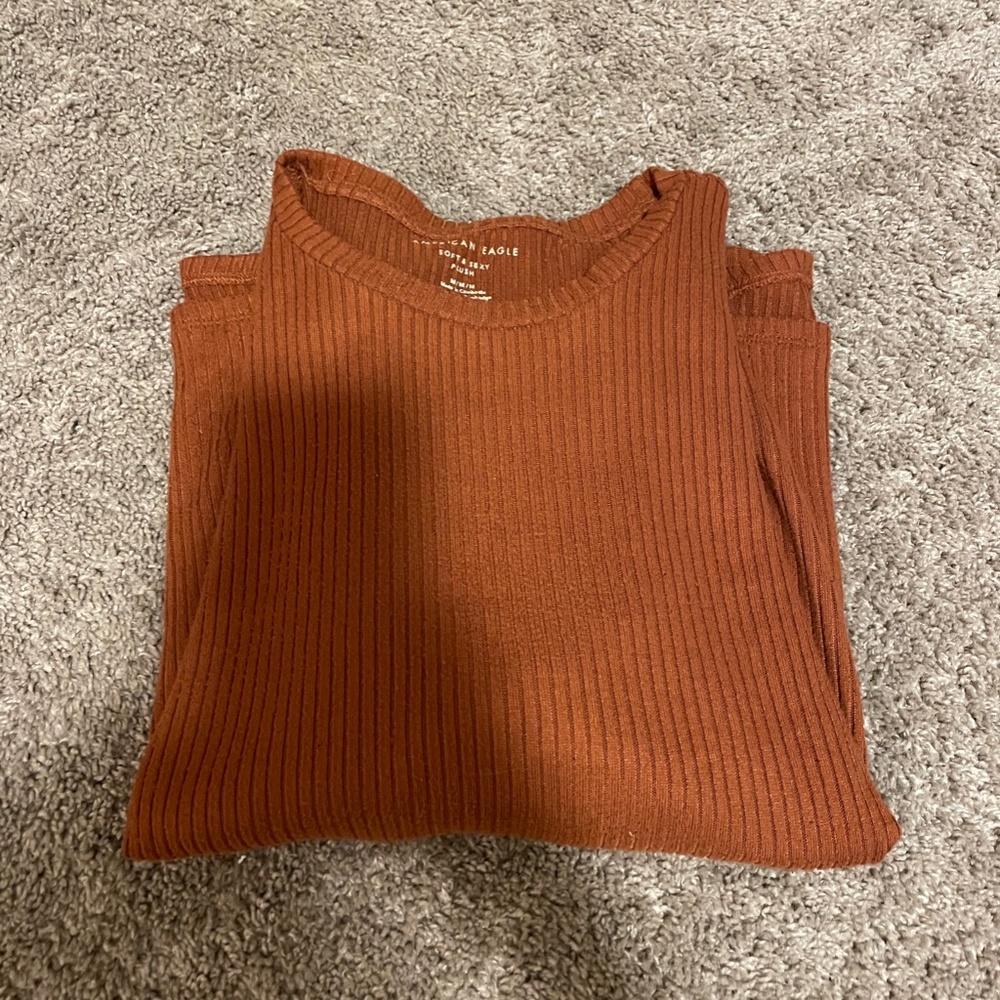 AEO Burnt Orange Sweater